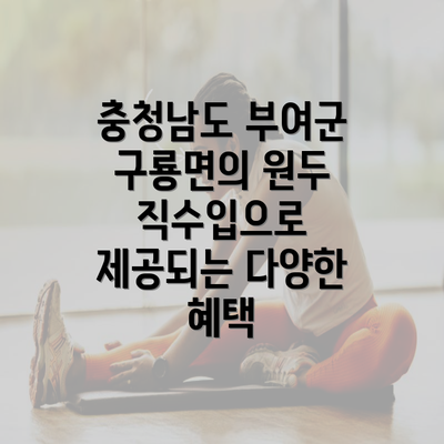 충청남도 부여군 구룡면의 원두 직수입으로 제공되는 다양한 혜택