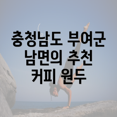 충청남도 부여군 남면의 추천 커피 원두