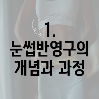 1. 눈썹반영구의 개념과 과정