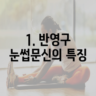 1. 반영구 눈썹문신의 특징