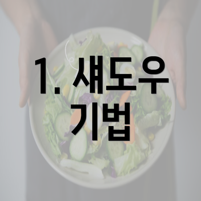 1. 섀도우 기법