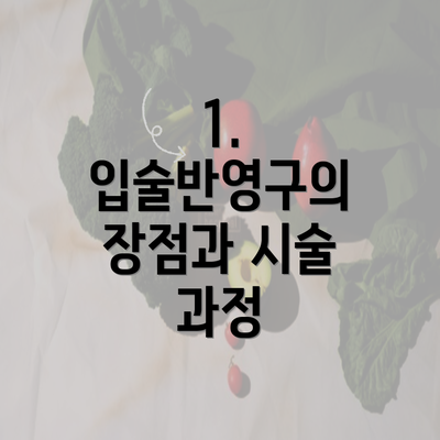 1. 입술반영구의 장점과 시술 과정