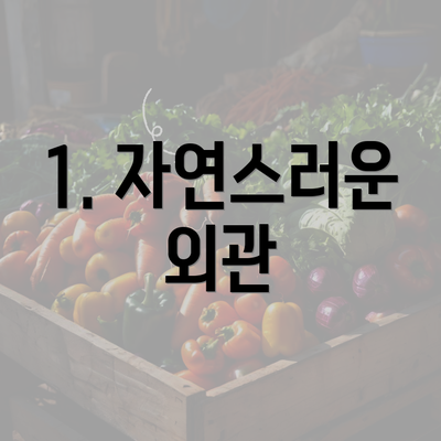 1. 자연스러운 외관