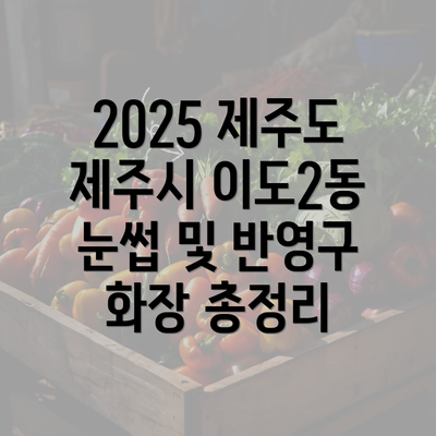 2025 제주도 제주시 이도2동 눈썹 및 반영구 화장 총정리