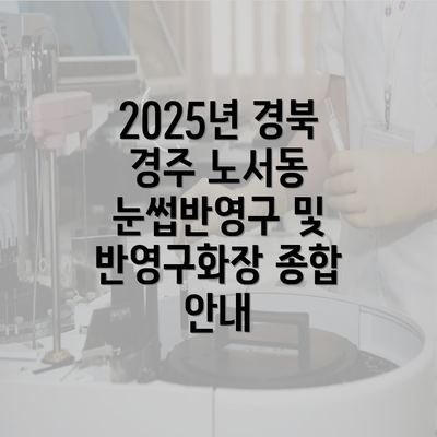 2025년 경북 경주 노서동 눈썹반영구 및 반영구화장 종합 안내