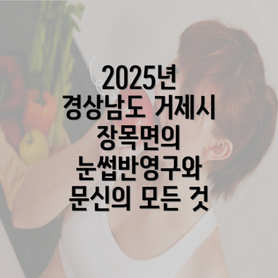 2025년 경상남도 거제시 장목면의 눈썹반영구와 문신의 모든 것