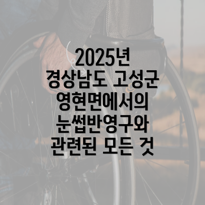 2025년 경상남도 고성군 영현면에서의 눈썹반영구와 관련된 모든 것