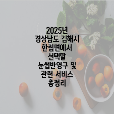 2025년 경상남도 김해시 한림면에서 선택할 눈썹반영구 및 관련 서비스 총정리