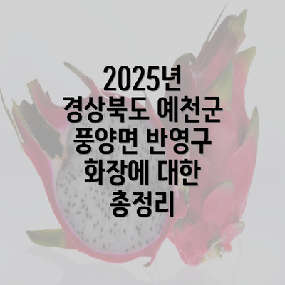 2025년 경상북도 예천군 풍양면 반영구 화장에 대한 총정리