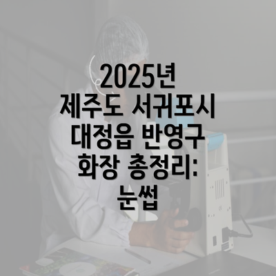 2025년 제주도 서귀포시 대정읍 반영구 화장 총정리: 눈썹