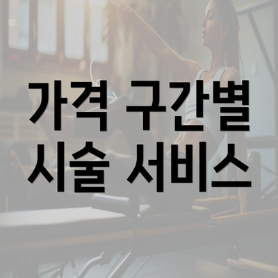 가격 구간별 시술 서비스