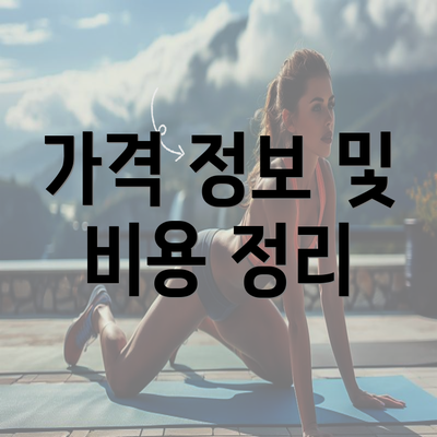 가격 정보 및 비용 정리