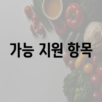 가능 지원 항목