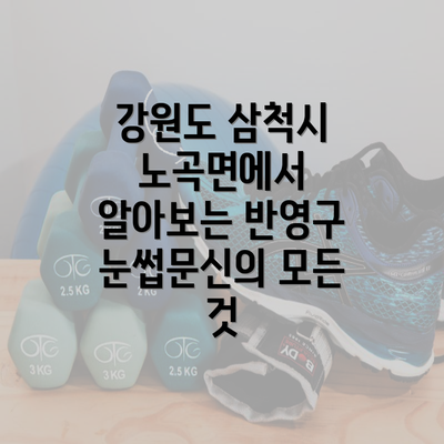 강원도 삼척시 노곡면에서 알아보는 반영구 눈썹문신의 모든 것