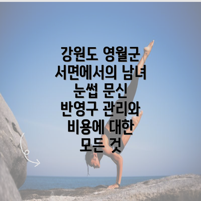 강원도 영월군 서면에서의 남녀 눈썹 문신 반영구 관리와 비용에 대한 모든 것