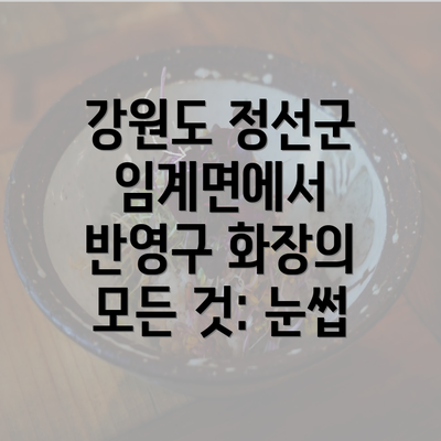 강원도 정선군 임계면에서 반영구 화장의 모든 것: 눈썹