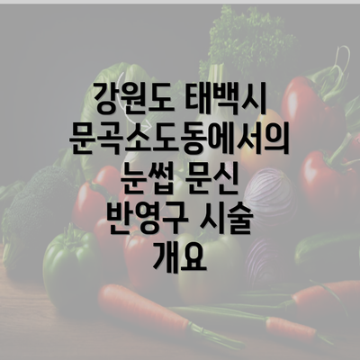 강원도 태백시 문곡소도동에서의 눈썹 문신 반영구 시술 개요