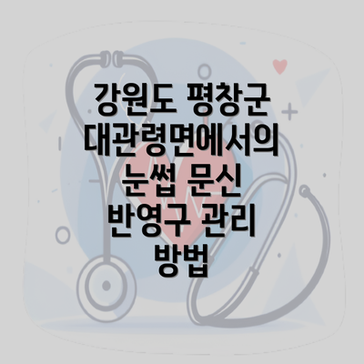 강원도 평창군 대관령면에서의 남성 및 여성 눈썹 문신 반영구 관리와 비용 분석