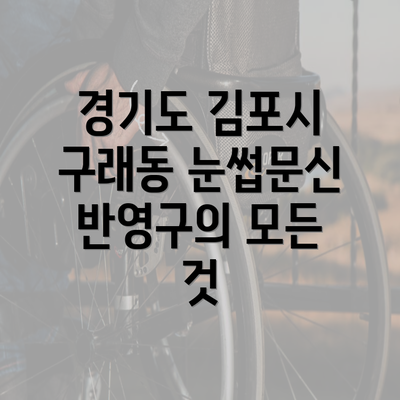 경기도 김포시 구래동 눈썹문신 반영구의 모든 것