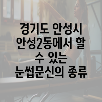 경기도 안성시 안성2동에서 할 수 있는 눈썹문신의 종류