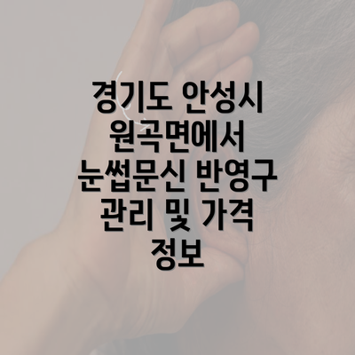 경기도 안성시 원곡면에서 눈썹문신 반영구 관리 및 가격 정보