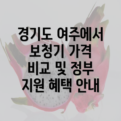 경기도 여주에서 보청기 가격 비교 및 정부 지원 혜택 안내