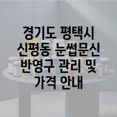 경기도 평택시 신평동 눈썹문신 반영구 관리 및 가격 안내