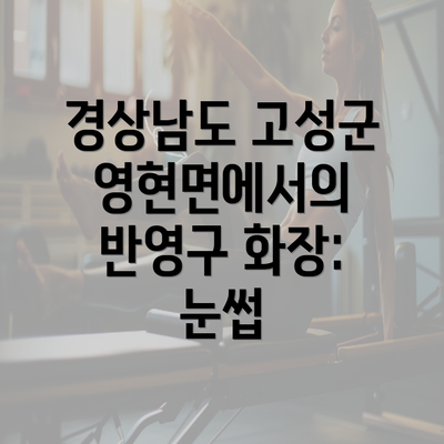 경상남도 고성군 영현면에서의 반영구 화장: 눈썹