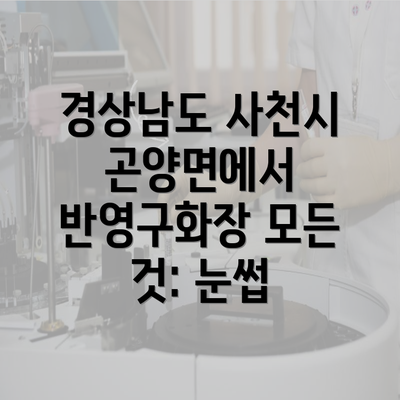 경상남도 사천시 곤양면에서 반영구화장 모든 것: 눈썹