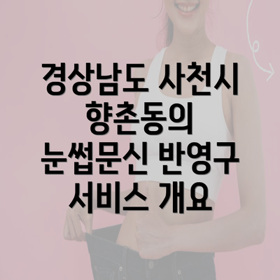 경상남도 사천시 향촌동의 눈썹문신 반영구 서비스 개요