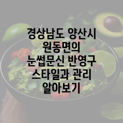 경상남도 양산시 원동면의 눈썹문신 반영구 스타일과 관리 알아보기