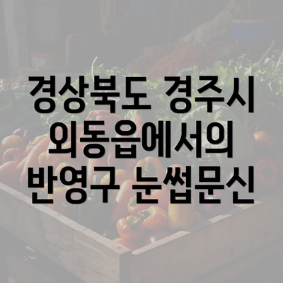 경상북도 경주시 외동읍에서의 반영구 눈썹문신