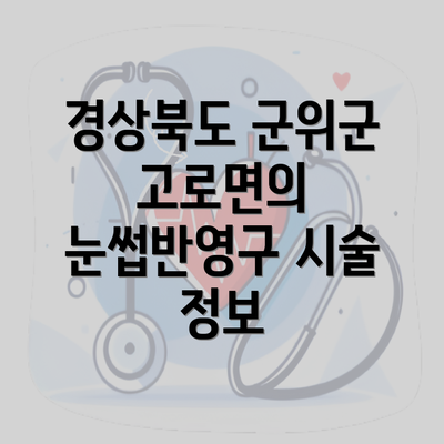 경상북도 군위군 고로면의 눈썹반영구 시술 정보