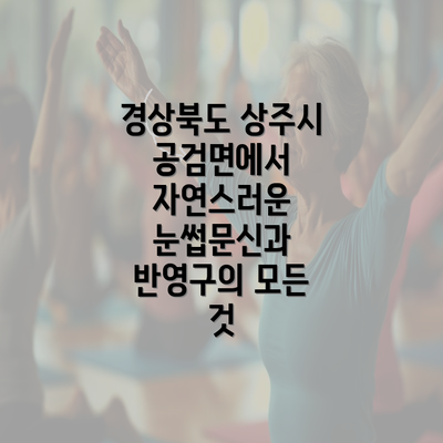 경상북도 상주시 공검면에서 자연스러운 눈썹문신과 반영구의 모든 것