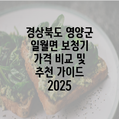 경상북도 영양군 일월면 보청기 가격 비교 및 추천 가이드 2025