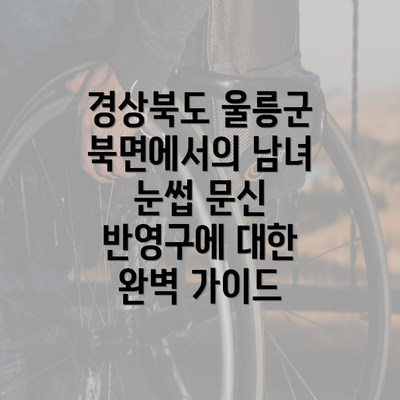 경상북도 울릉군 북면에서의 남녀 눈썹 문신 반영구에 대한 완벽 가이드