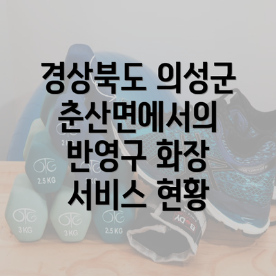 경상북도 의성군 춘산면에서의 반영구 화장 서비스 현황