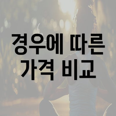 경우에 따른 가격 비교