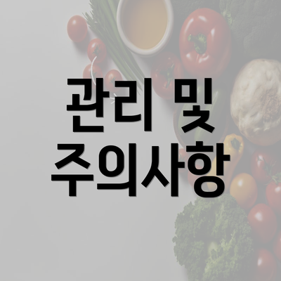 관리 및 주의사항