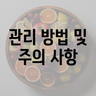 관리 방법 및 주의 사항