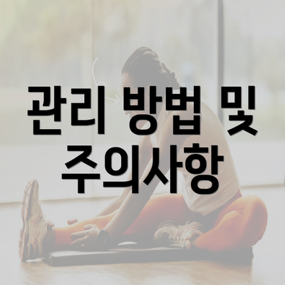 관리 방법 및 주의사항