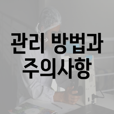 관리 방법과 주의사항