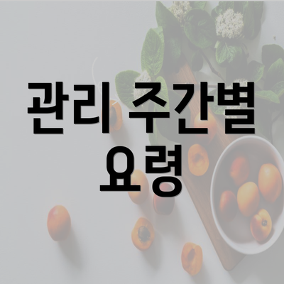 관리 주간별 요령