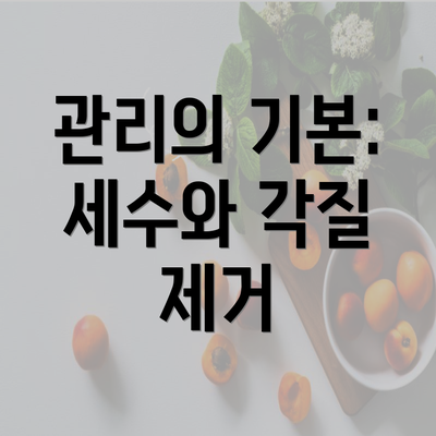 관리의 기본: 세수와 각질 제거