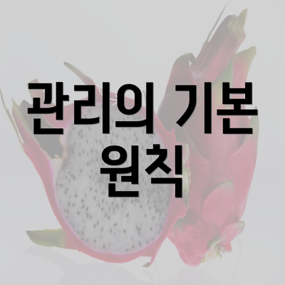 관리의 기본 원칙