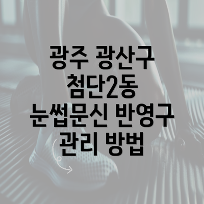 광주 광산구 첨단2동 눈썹문신 반영구 관리 방법