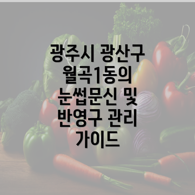 광주시 광산구 월곡1동의 눈썹문신 및 반영구 관리 가이드