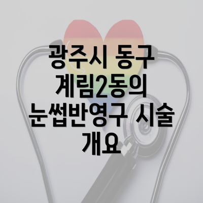 광주시 동구 계림2동의 눈썹반영구 시술 개요