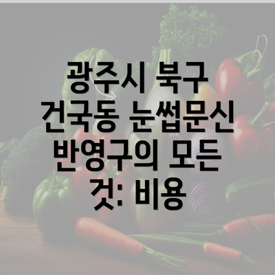 광주시 북구 건국동 눈썹문신 반영구의 모든 것: 비용