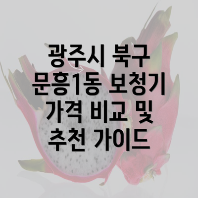 광주시 북구 문흥1동 보청기 가격 비교 및 추천 가이드